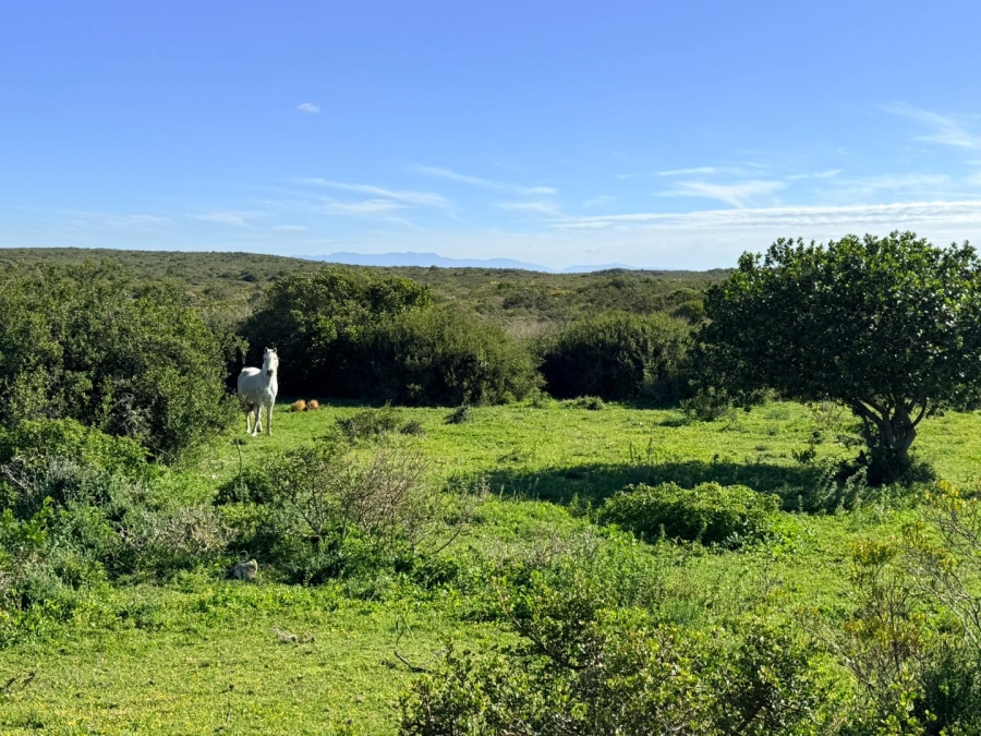 0 Bedroom Property for Sale in Riversdale Rural Western Cape